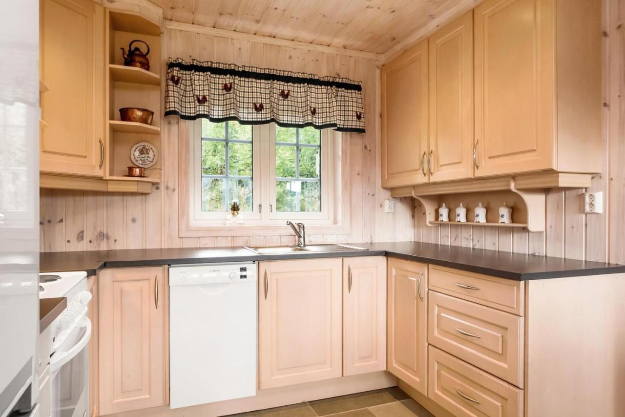 Reveenka - Cabin In Trysil With Jacuzzi For Rent Bagian luar foto
