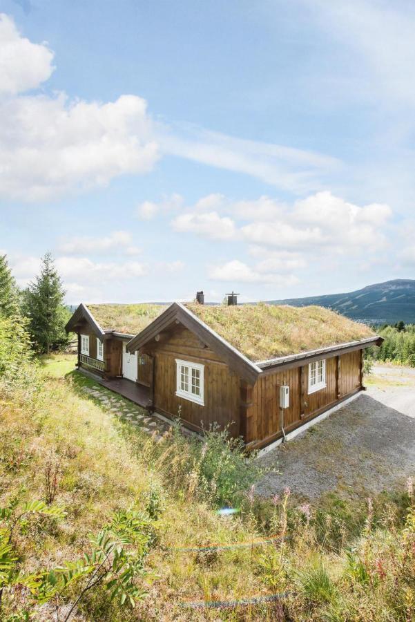 Reveenka - Cabin In Trysil With Jacuzzi For Rent Bagian luar foto