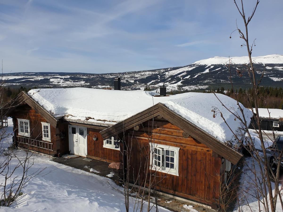 Reveenka - Cabin In Trysil With Jacuzzi For Rent Bagian luar foto