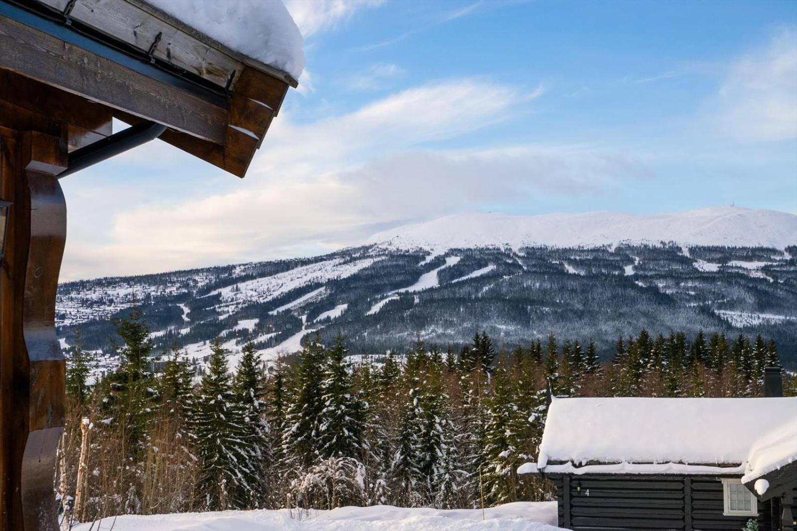 Reveenka - Cabin In Trysil With Jacuzzi For Rent Bagian luar foto